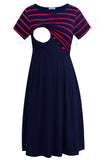 Navy Wine Stripe-Navy